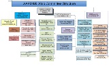 2025 Org Chart WITH CHAIRS November 2024