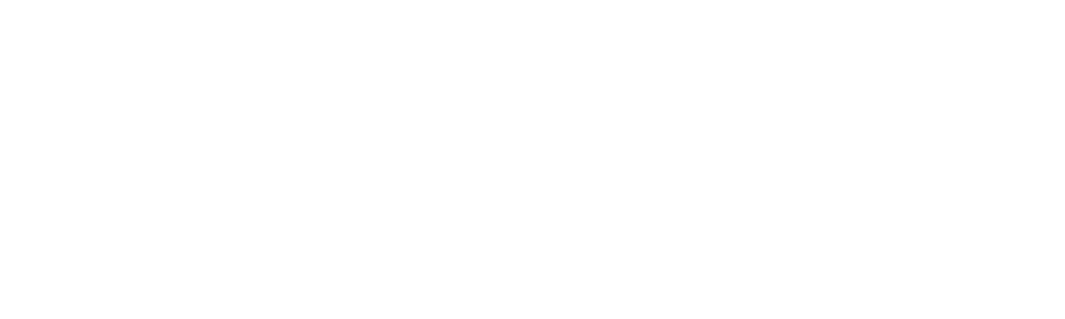 Lifepoint_logo_hor_w (002)